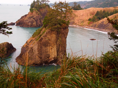 [A near-circular cove with a huge seastack topped with trees has blue green water.]